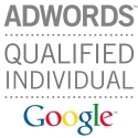 David Radicke ist AdWords Qualified Individual