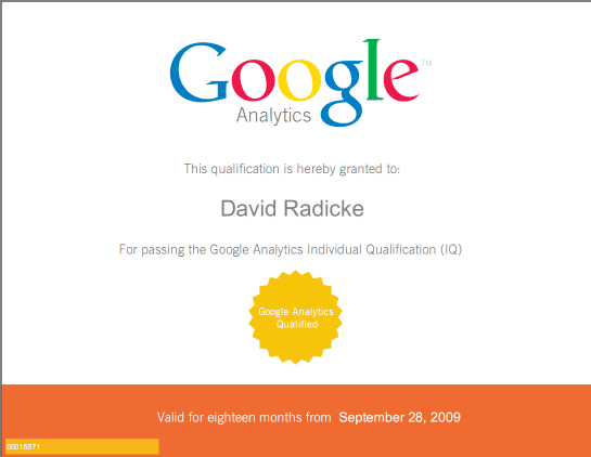 David Radicke hat 2009 die Google Analytics Individual Qualification erhalten